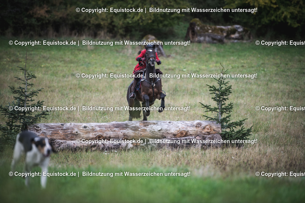 20241013_Jagd-Marbach_0270 | Foto: Thomas Hartig