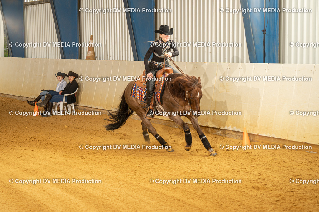 MIT00542 | dv-media-shop - Realisiert mit Pictrs.com