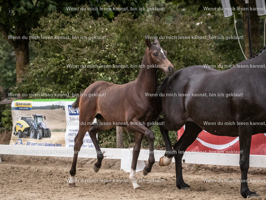 A10I7202 | photographylinaismer - Realisiert mit Pictrs.com