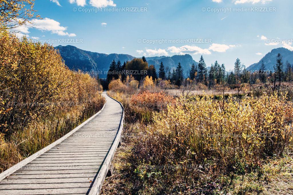 _07A6145 | medienkrizzler - Realisiert mit Pictrs.com