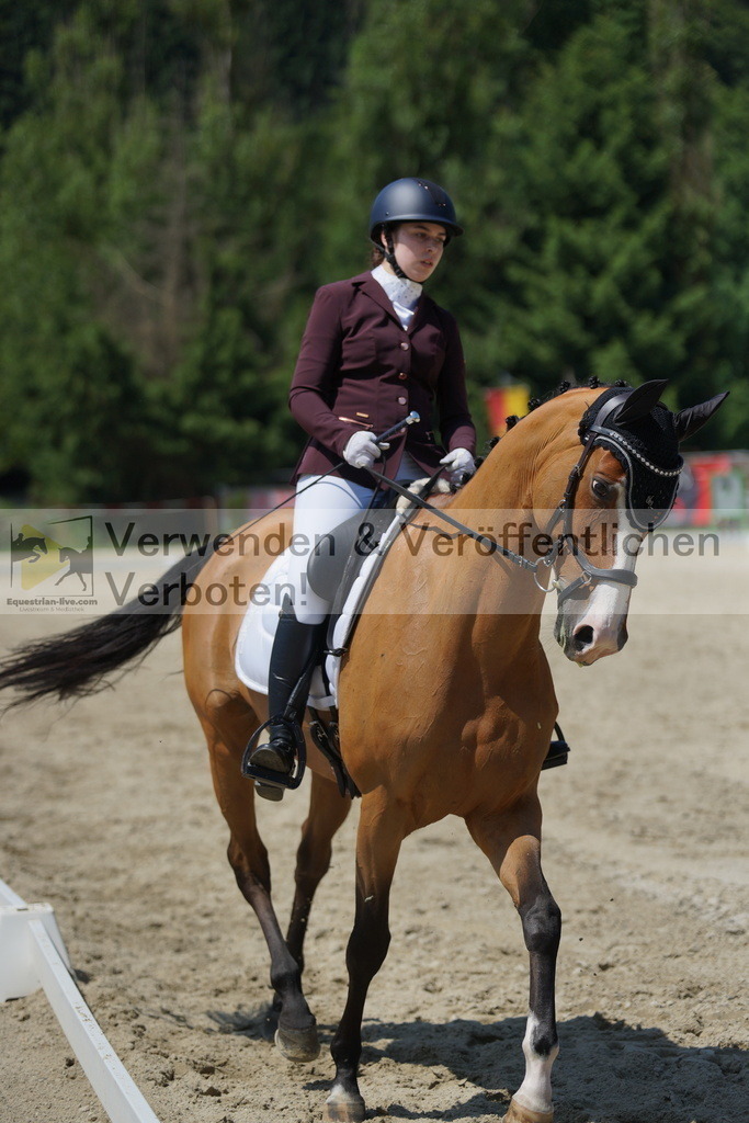 DSC01750 | equestrian-live-com