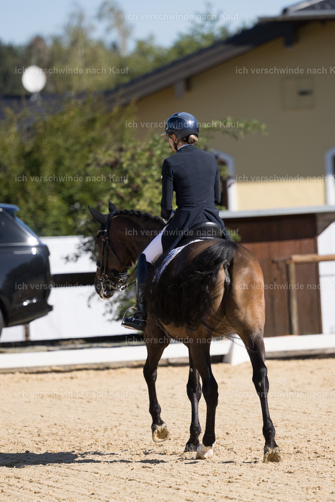 FHC2026_P07_239_17750 | working equitationturnier fotograf videograf stoibphotography marixx film working equitation deutschland reitsport turnierfotografie eventfotografie equestrian events