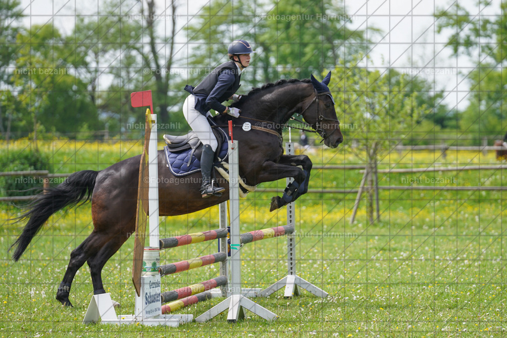 20240509-FAH02752 | Turnierbilder der Turnierfotografen Bayern, Pferdesport Fotografie, Reitsportbilder, Turnier Landberg am Lech, Turnierbilder bayern, Fotoagentur Herrmann