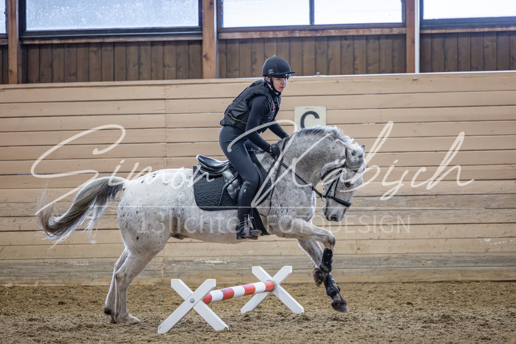 20260221-_3LI9517 | Tierfotografie Pferde, Hunde, Katzen, Haustiere.
Turnierfotografie Reitturniere, Reiten, Springreiten, Dressur in Hanau, dem Main-Kinzig-Kreis und dem Rhein-Main- Gebiet um Frankfurt