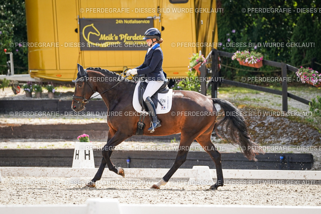 DSC09308 | Pferdegrafie