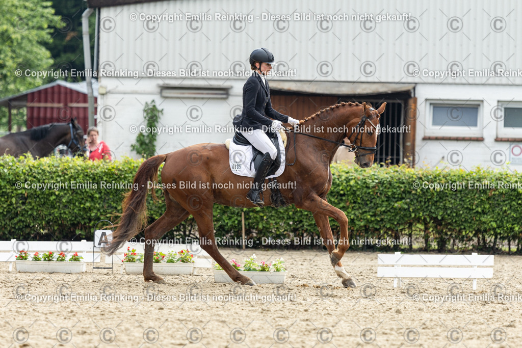 CL5A4627 | Emilia Reinking Fotografie - Realisiert mit Pictrs.com