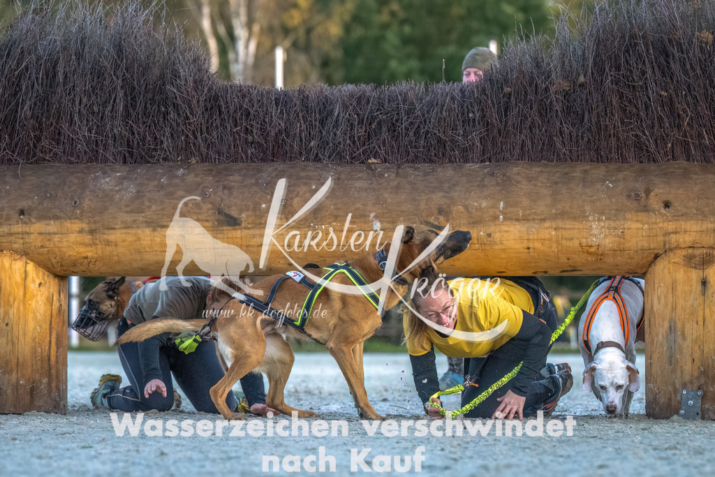 0819-00169 | kk-dogfotos