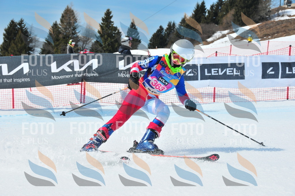 DSC_7068 | holidayphoto