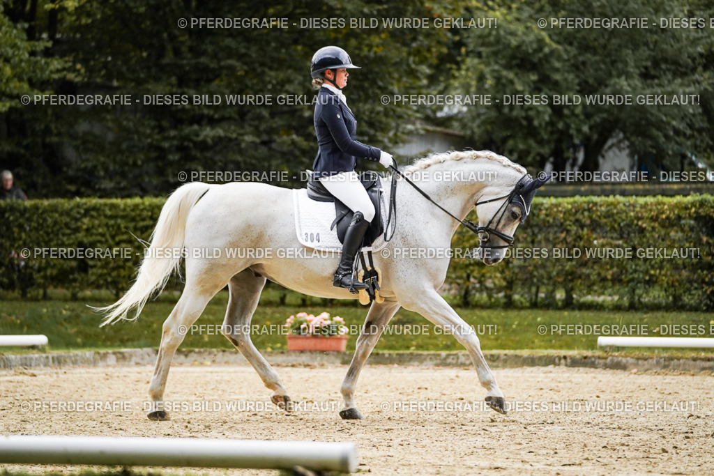 DSC06653 | Pferdegrafie