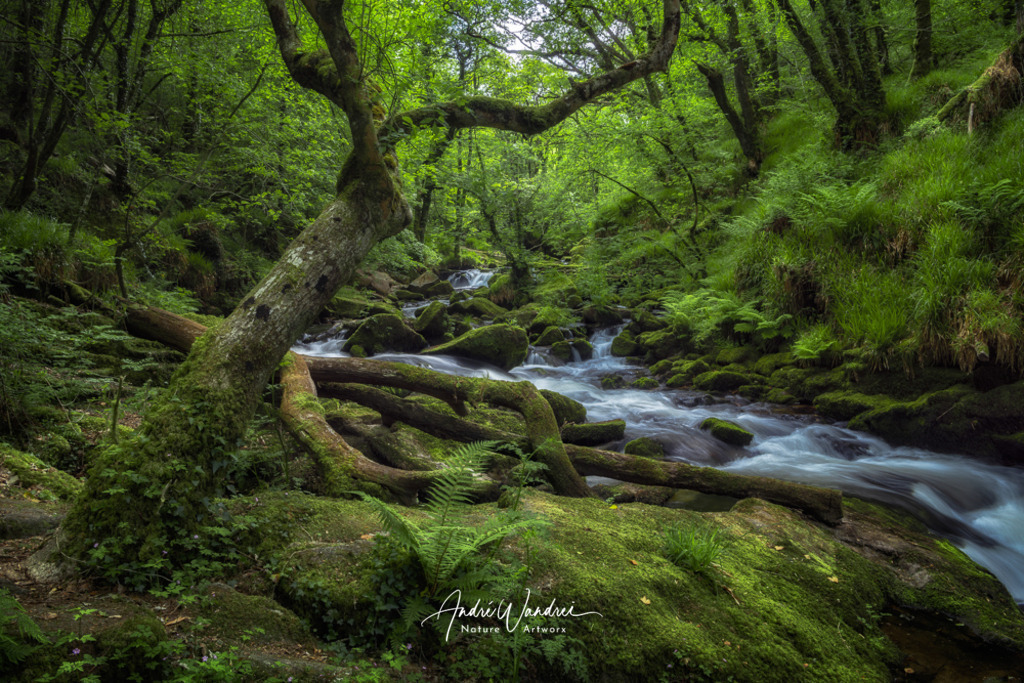 Flusslandschaft | Andre Wandrei - Nature Artworx - Realisiert mit Pictrs.com