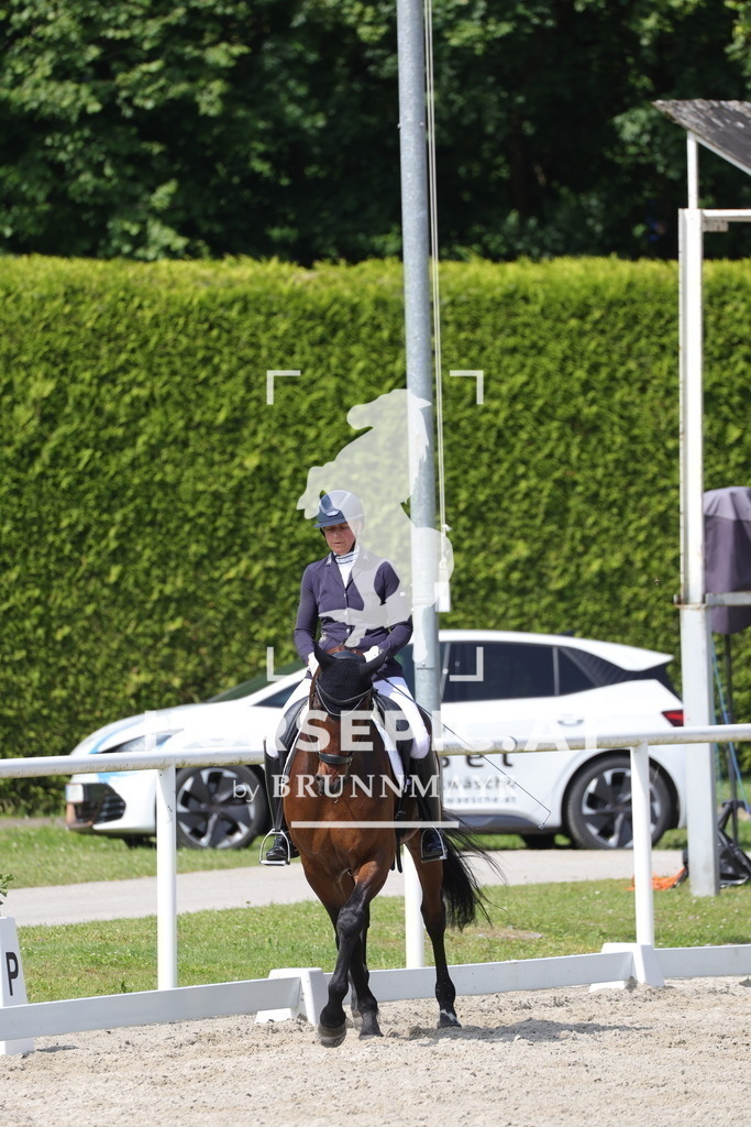 0P6A4989 | Willkommen bei Brunnmayr - Design & Fotografie – Ihrem Spezialisten für Reitturniere und Pferdeveranstaltungen in Oberösterreich, Salzburg und Bayern! Seit über 17 Jahren sind wir leidenschaftlich dabei.