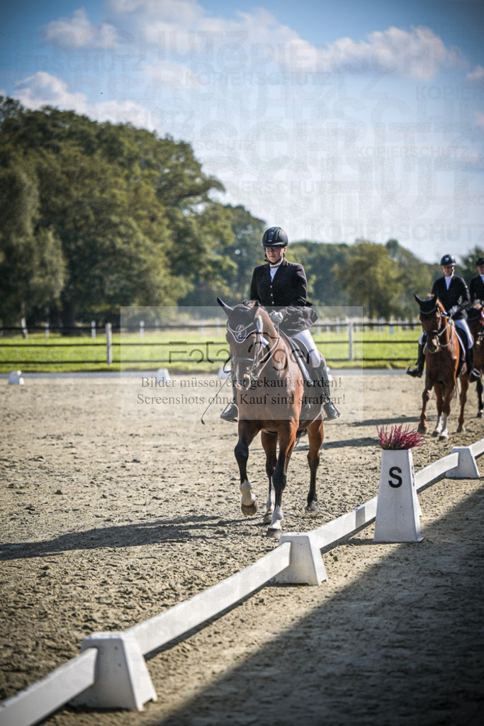 DOS_0110 | Entdecke hochwertige Reitturnierfotos von Foto Oger. Professionell, emotional und authentisch – jetzt Lieblingsmomente im Shop bestellen.Deutschlandweite Turnierfotografie. - Realisiert mit Pictrs.com