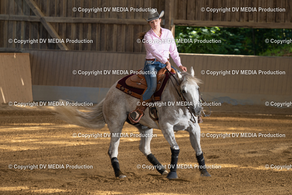 DSC00349 | dv-media-shop - Realisiert mit Pictrs.com