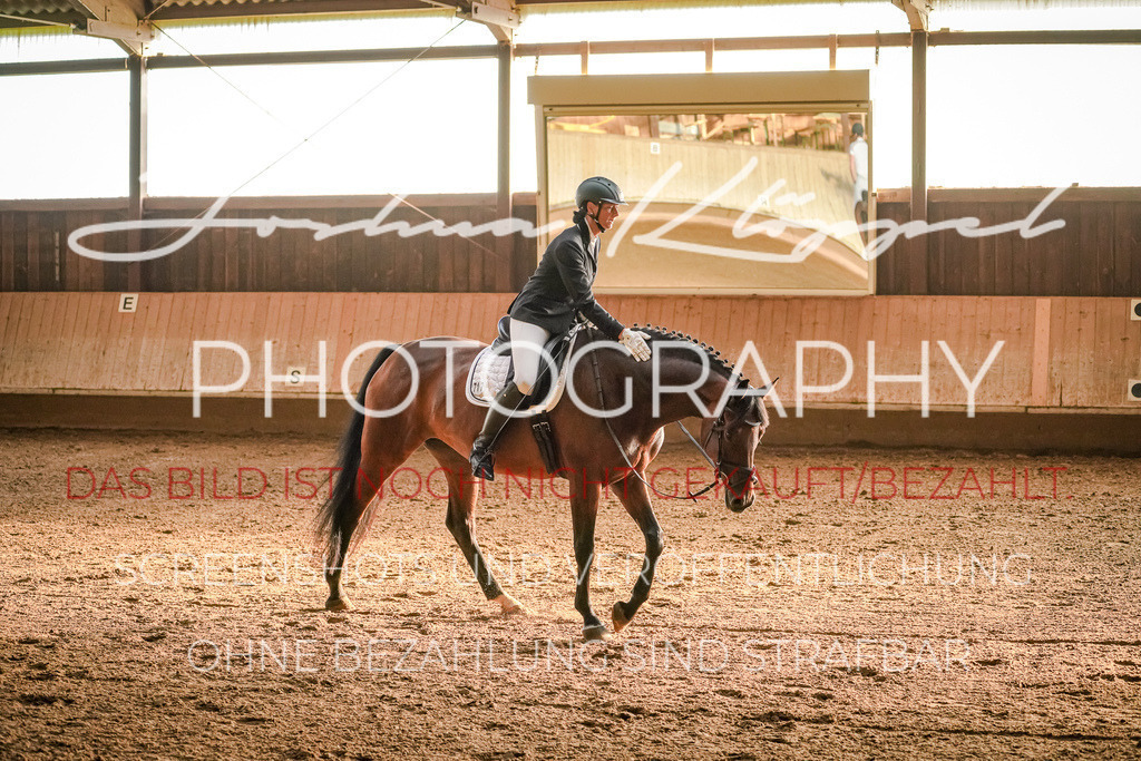 DSC06727 | Joshua Klöppel Photography