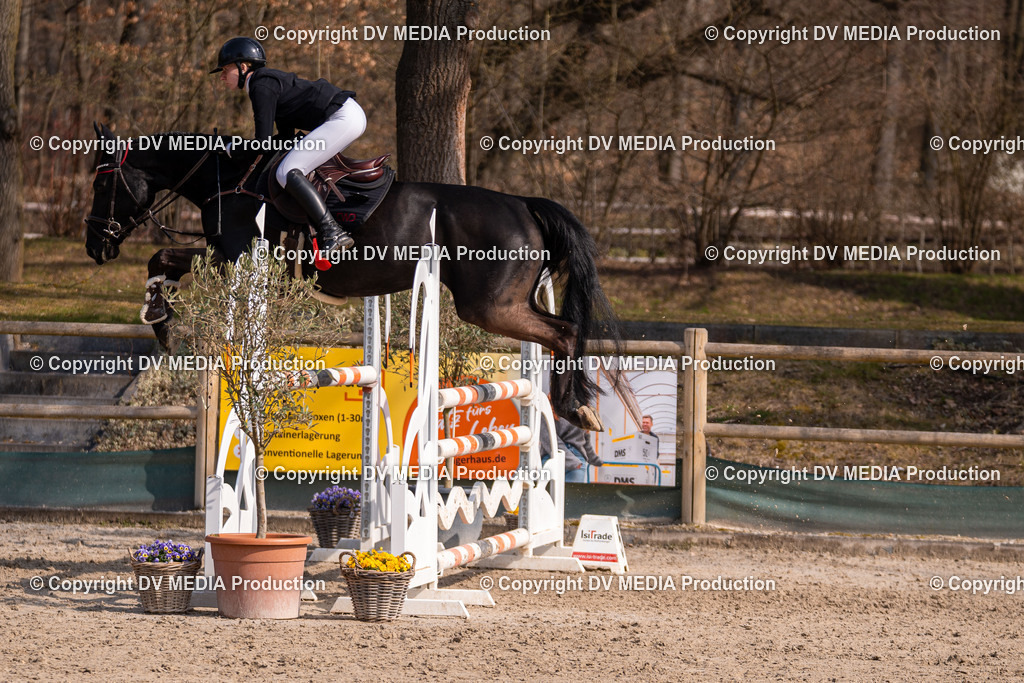 Kranichstein Tag 2-1488 | dv-media-shop - Realisiert mit Pictrs.com