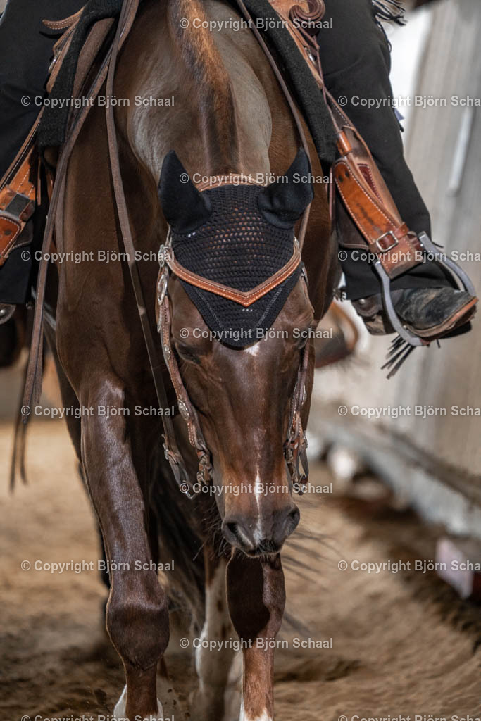 SBS04676 | BS-foto