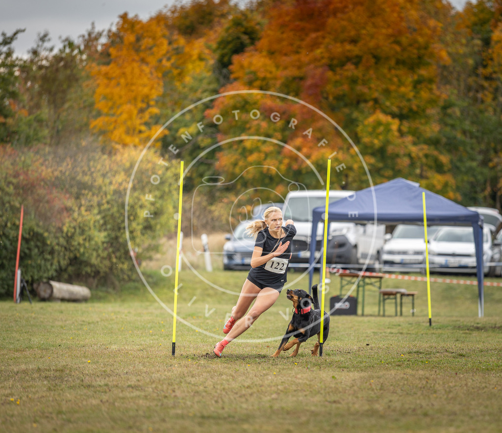Pfotenfotografie_DV3A7702 | Hundefotografie, Tierfotograf, Pfotenfotografie, Fotoshooting Hund, Hunde Portrait, Hundesport, Hundeportraits, Heideshooting, Hunde, Sportfotograf, Hundefotograf, Turnierhundsport, THS,  - Realisiert mit Pictrs.com