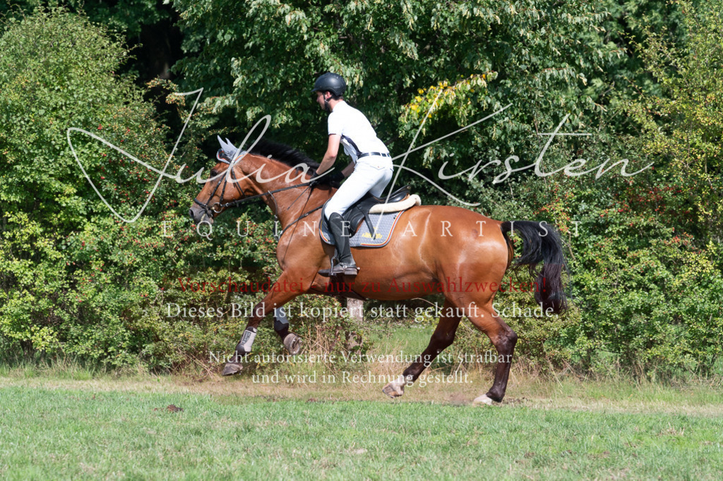 DSC_0841 | Pferde- und Turnierfotografie in Westsachsen. Pferdeportraits, Auftragszeichnungen und intuitive Kunst.