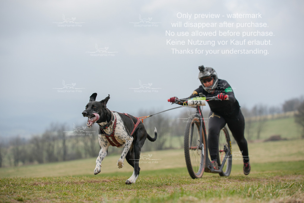 ScooterSA-125 | stephaniefillaphotographie - Realisiert mit Pictrs.com