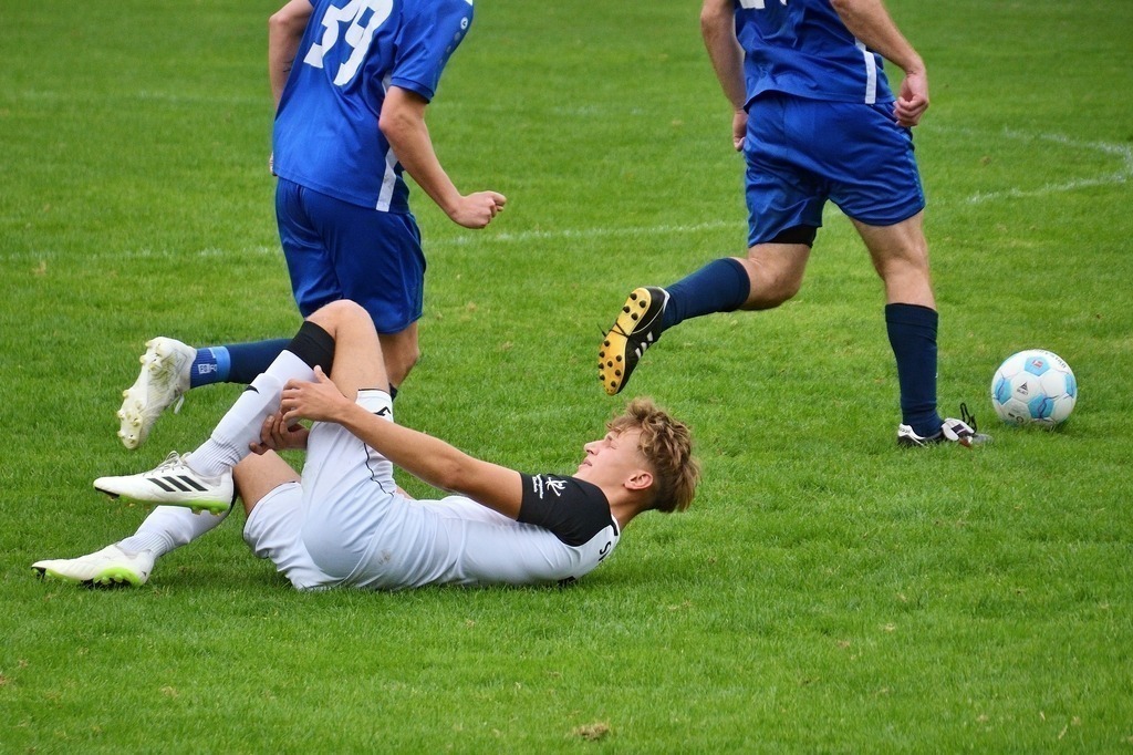 DSC_6130_1372SVR 23.08.23_Nikontop rad | PFALZFOTO - Serena Wobus - Realisiert mit Pictrs.com