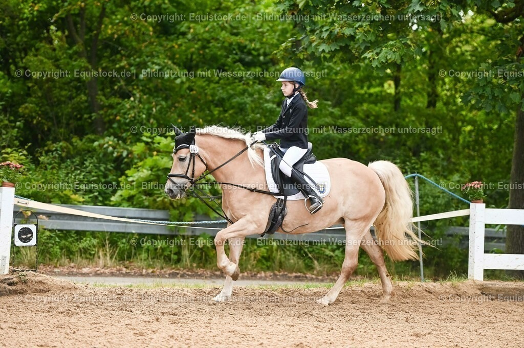 20230716_10-2_Reiter-WB Schritt - Trab - Galopp_0050 | equistock