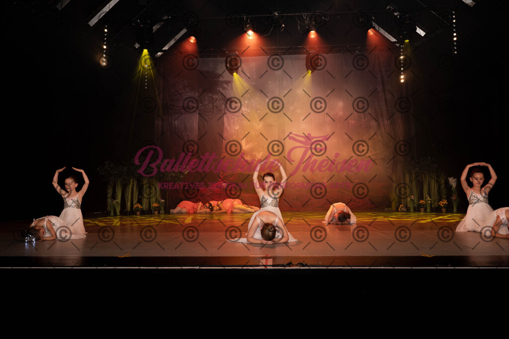 Ballettaufführung-1086 | Bildershop Lem'n Entertainment - Realisiert mit Pictrs.com