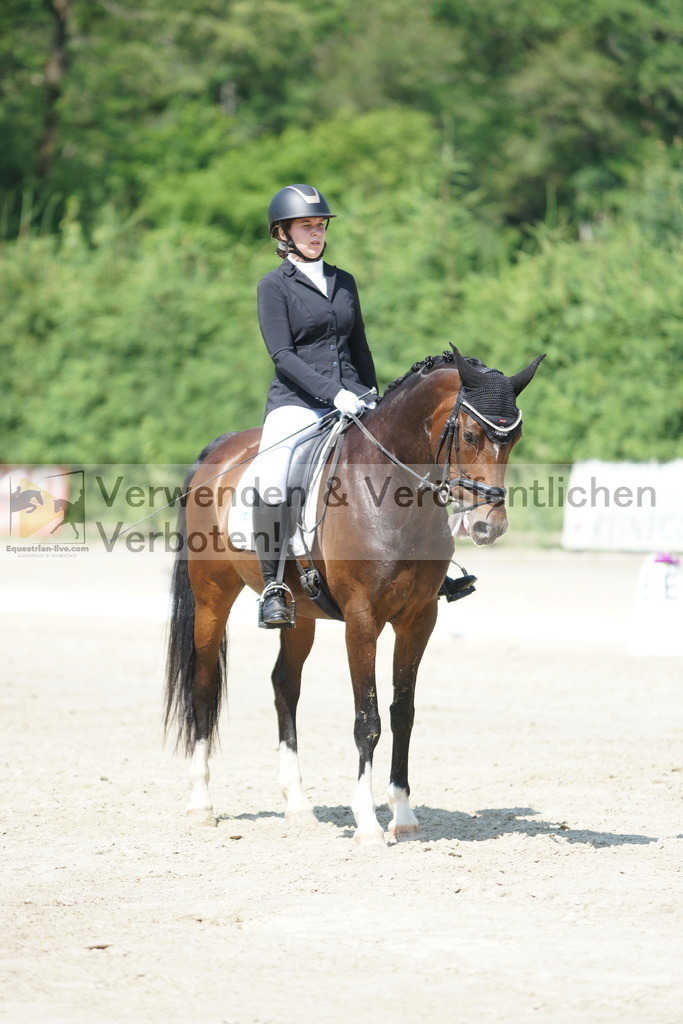 DSC01583 | equestrian-live-com
