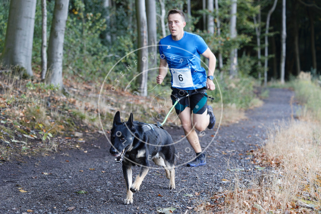 0L8A1363 | Hundefotografie, Tierfotograf, Pfotenfotografie, Fotoshooting Hund, Hunde Portrait, Hundesport, Hundeportraits, Heideshooting, Hunde, Sportfotograf, Hundefotograf, Turnierhundsport, THS,  - Realisiert mit Pictrs.com