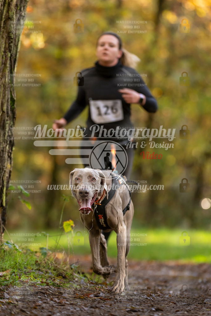 MompixPhotography_Bischwiller23_Canicross-120 | PayLife