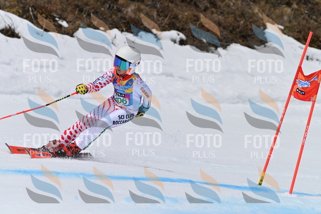 BGV_3987 | holidayphoto