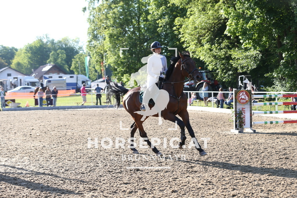 DL2Q3038 | Willkommen bei Brunnmayr - Design & Fotografie – Ihrem Spezialisten für Reitturniere und Pferdeveranstaltungen in Oberösterreich, Salzburg und Bayern! Seit über 17 Jahren sind wir leidenschaftlich dabei.
