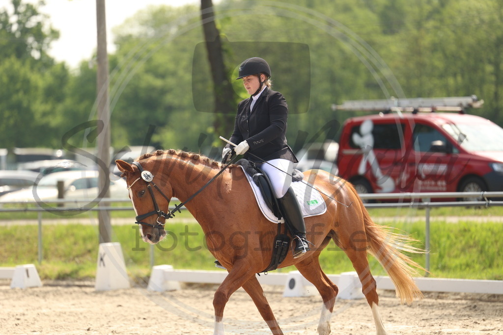 994A6480 | sabrinanicolaifotografie - Realisiert mit Pictrs.com