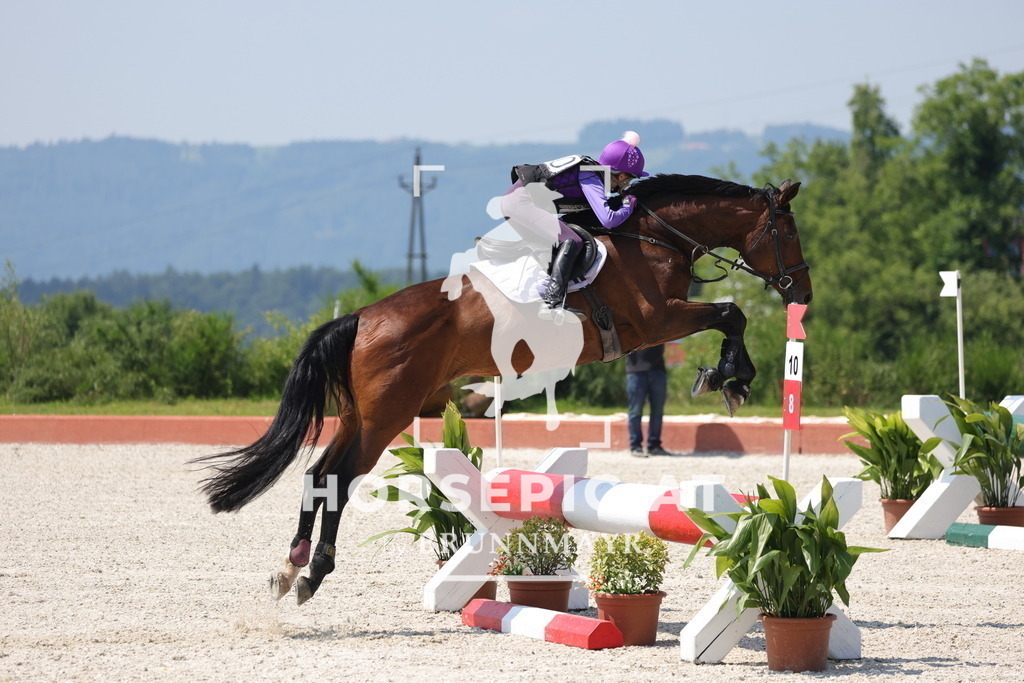 0P6A8106 | Willkommen bei Brunnmayr - Design & Fotografie – Ihrem Spezialisten für Reitturniere und Pferdeveranstaltungen in Oberösterreich, Salzburg und Bayern! Seit über 17 Jahren sind wir leidenschaftlich dabei.