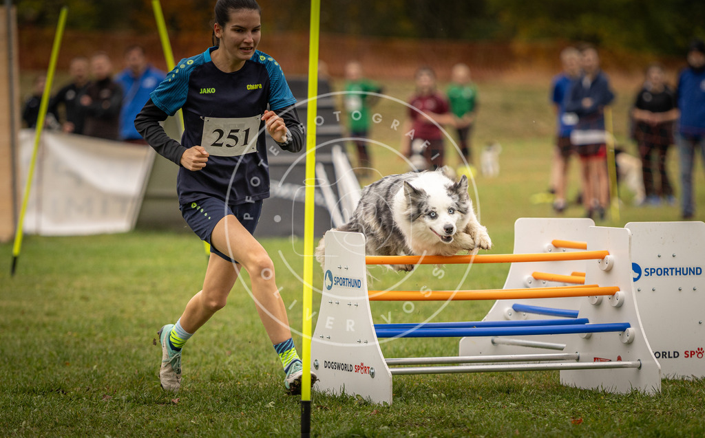 Pfotenfotografie_DV3A6109 | Hundefotografie, Tierfotograf, Pfotenfotografie, Fotoshooting Hund, Hunde Portrait, Hundesport, Hundeportraits, Heideshooting, Hunde, Sportfotograf, Hundefotograf, Turnierhundsport, THS,  - Realisiert mit Pictrs.com