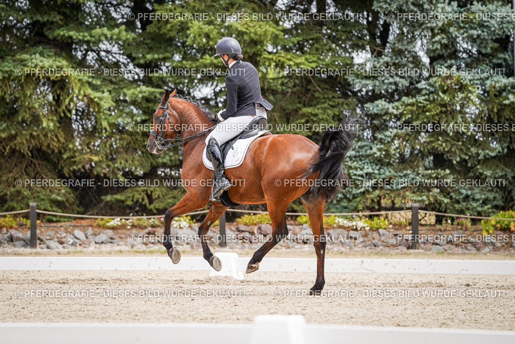 DSC03726 | Pferdegrafie