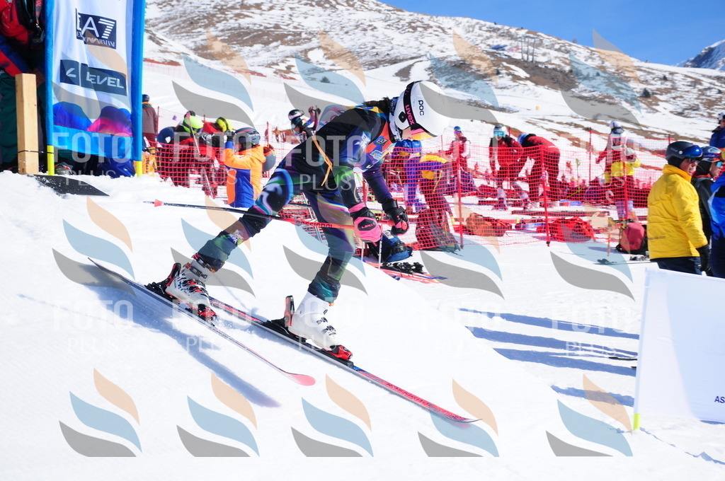 DSC_3723 | holidayphoto