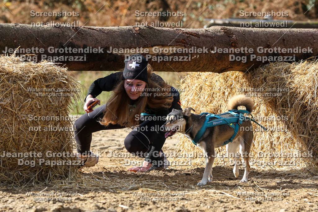 Dog Paparazzi - Strongdog 10-25-5285 | Dog Paparazzi Jeanette Grottendiek Fotografie & Videografie - Realisiert mit Pictrs.com