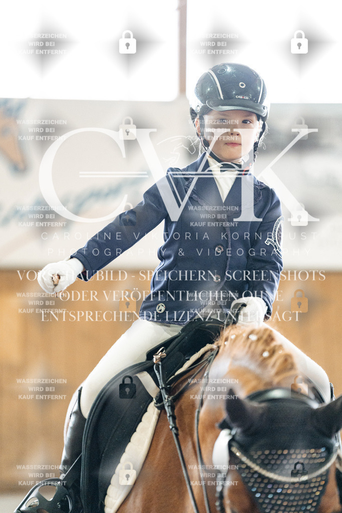 CK902386 | Turnierfotografie Pferdefotografie Trier Rheinland-Pfalz Pferdesport Reitsport Tierfotografie Sportfotografie Pferdevideo Pferdevideografie Equestrianvideography equestrianphotography  - Realized with Pictrs.com