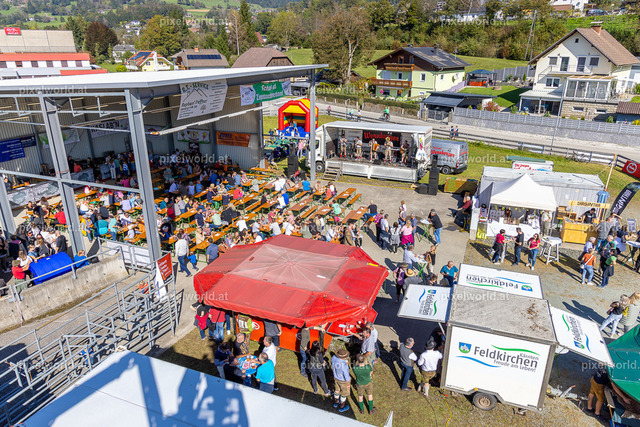 SchaZie Tag | Bildershop von pixelworld.at - Realisiert mit Pictrs.com