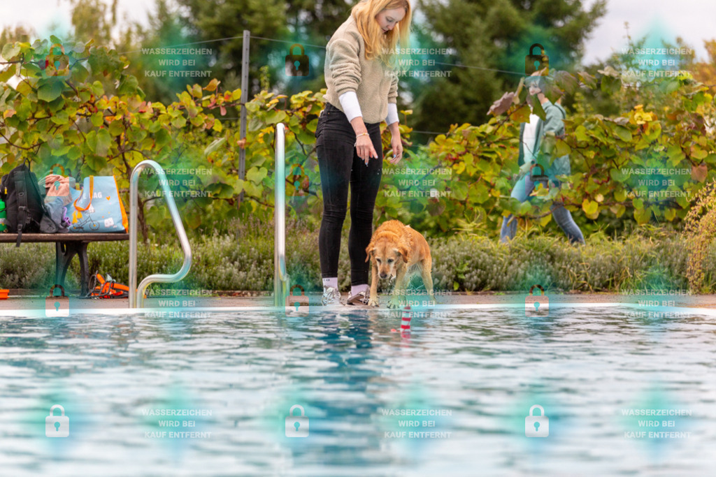 _HP_6110_1000o | HetPix, HetPix Fotodesign, Fotografie, Fotodesign, Webshop, Sportfotografie, Portraitfotografie, Onlineshop, Sportfotografie, Polch, Motorsportfotografie, Eventfotografie