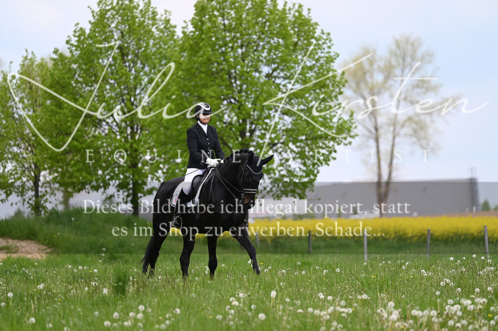 20230512_JK-Röhrsdorf-05-090 | Pferde- und Turnierfotografie in Westsachsen. Pferdeportraits, Auftragszeichnungen und intuitive Kunst.