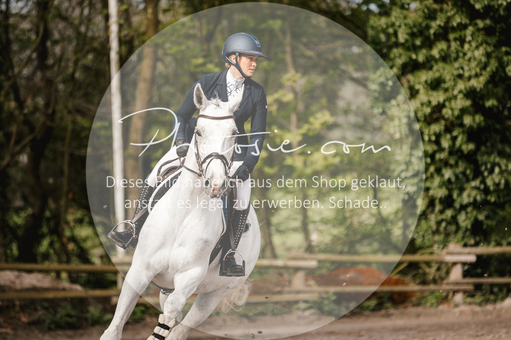 3I6A3450 | Stimmungsvolle Portraits und Reitsportfotografie im Ruhrgebiet und im Münsterland.

Pferdefotografie, Hundefotografie, Tierfotografie, Reportagen, Portraits von Tier und Mensch, Turnierfotografie in Bochum, Recklinghausen, Marl, Haltern am See, Dülmen.. - Realisiert mit Pictrs.com