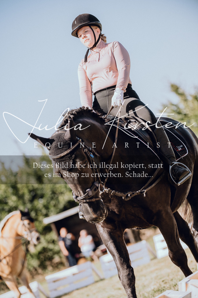 DSC_7091 | Pferde- und Turnierfotografie in Westsachsen. Pferdeportraits, Auftragszeichnungen und intuitive Kunst.