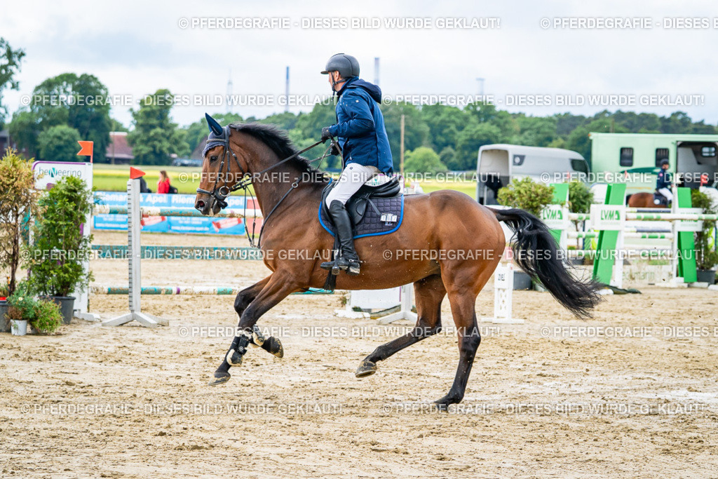 DSC04158 | Pferdegrafie