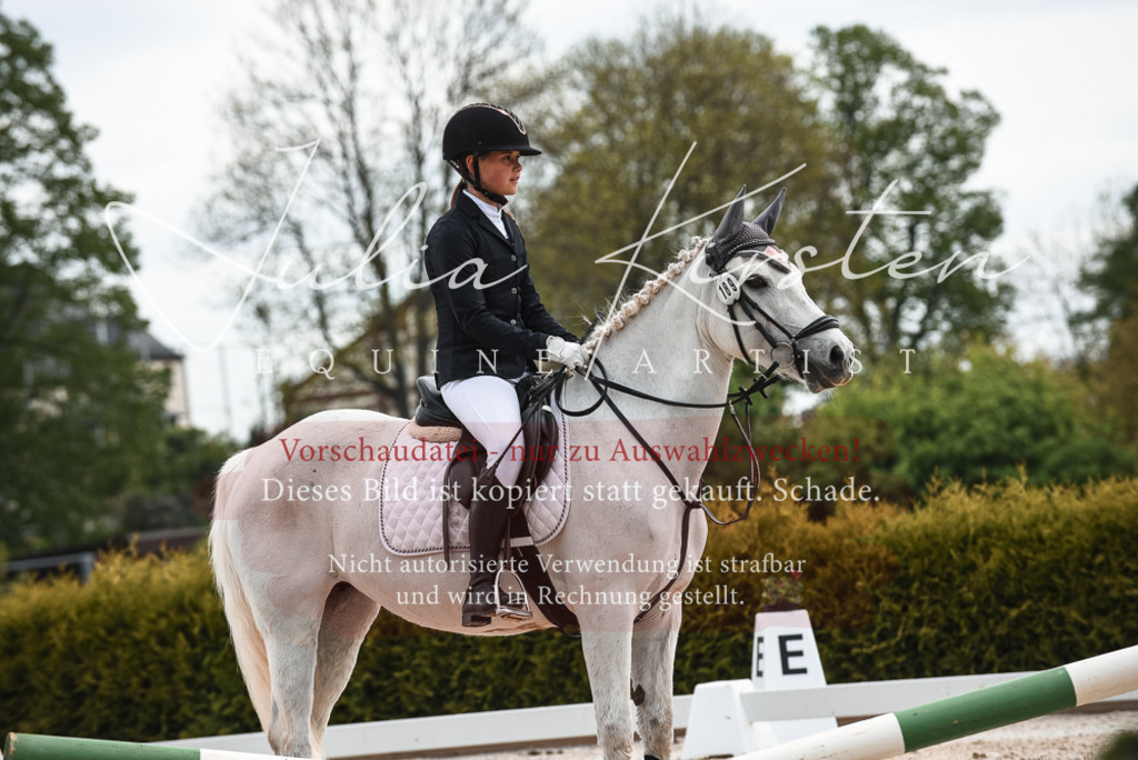 20230518_JK-Röhrsdorf-10-216 | Pferde- und Turnierfotografie in Westsachsen. Pferdeportraits, Auftragszeichnungen und intuitive Kunst.