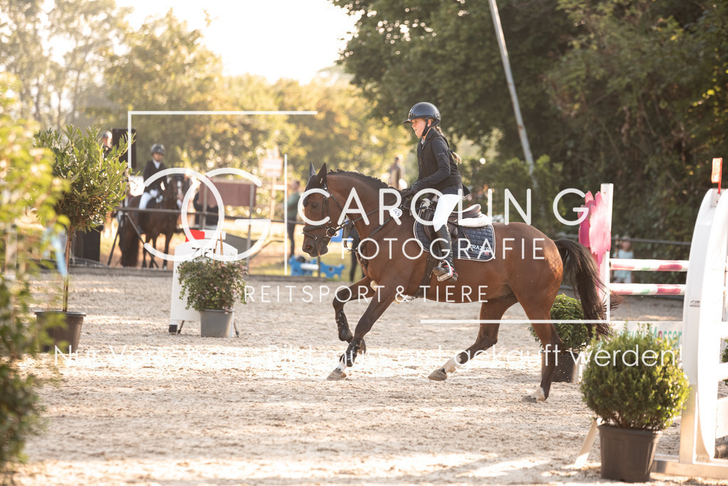 DSC_6430 | Turnierfotografin Carolin Gieschke, Turnierfotografie Carolin G Fotografie, Turnierfotos Kirchheim/Teck, Esslingen, Stuttgart, Bodenseekreis