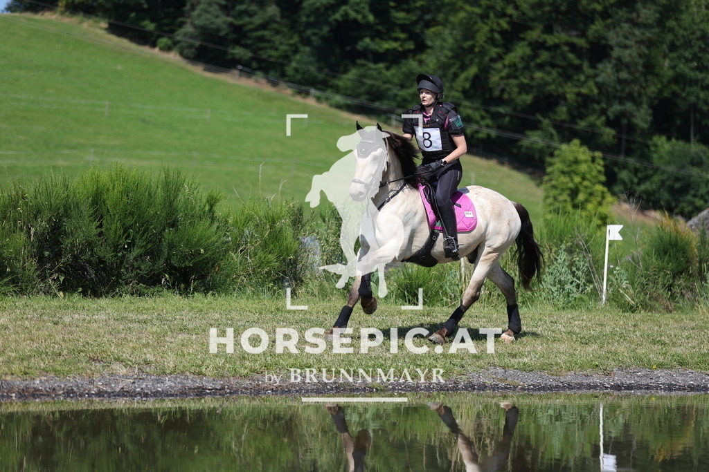 0P6A3102 | Willkommen bei Brunnmayr - Design & Fotografie – Ihrem Spezialisten für Reitturniere und Pferdeveranstaltungen in Oberösterreich, Salzburg und Bayern! Seit über 17 Jahren sind wir leidenschaftlich dabei.