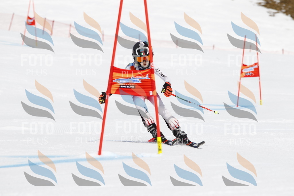 _U3G5473 | holidayphoto