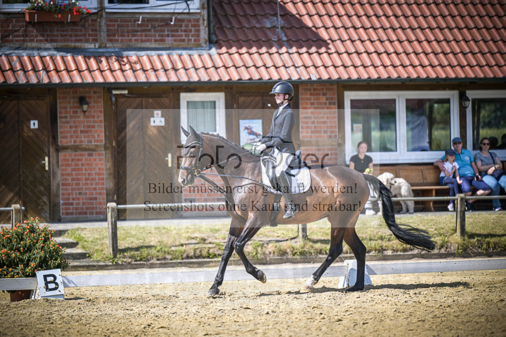 DOS_7326 | Entdecke hochwertige Reitturnierfotos von Foto Oger. Professionell, emotional und authentisch – jetzt Lieblingsmomente im Shop bestellen.Deutschlandweite Turnierfotografie. - Realisiert mit Pictrs.com