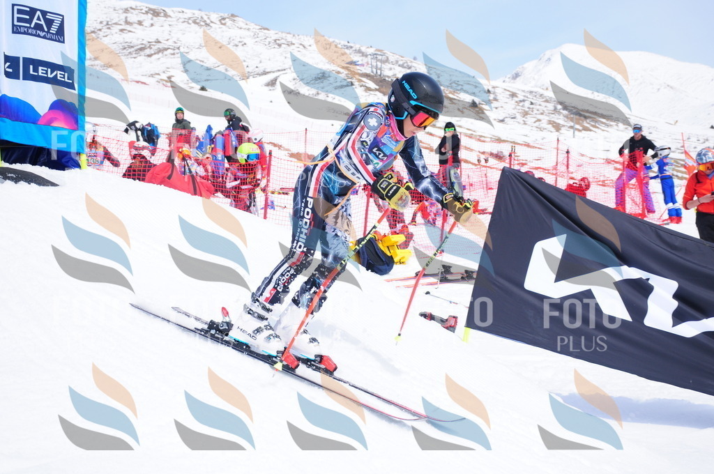 DSC_2699 | holidayphoto